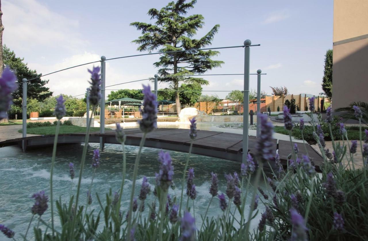 Hotel Domus Park